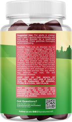Sambucus Elderberry Gummies for Kids Health - Delicious Black Elderberry Gummies with Zinc and Vitamin C for Kids Immune Support - Gelatin and Gluten Free Non-GMO Immunity Support - 60 Count