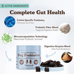 Natural Dog Company Gut Health & Canine Specific Probiotics Chews, 1 Daily Chew for All Dogs, Prebiotics & Digestive Enzymes for Digestion, Gas, Loose Stool, Immune System & Bowel Support