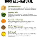 Mushroom Complex Treats for Dogs with Reishi, Shiitake, and Turkey Tail Mushrooms for Cognition and Immune Boosting Supports Digestive Health and Reduces Inflammation DHA EPA Turmeric Kelp 30 Chews