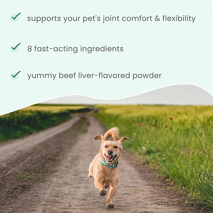 Dr. Mercola Bark & Whiskers Joint Support - Joint & Cartilage Support for Cats & Dogs - with Collagen, MSM, Green-Lipped Mussel Extract & Hyaluronic Acid - 1.69 oz