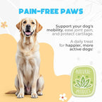 ZENO Glucosamine HCL & Hip and Joint Chews for Dogs - 150 pcs - Advanced Hip and Joint Support for Senior Dogs - with MSM & Green Lipped Mussel - Duck