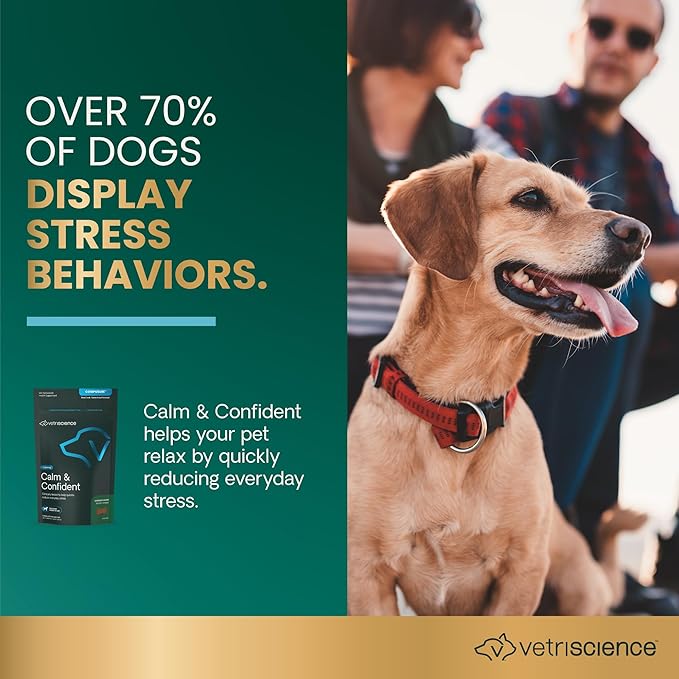 VetriScience Calm & Confident Chews, Composure Clinically Tested Calming and Anxiety Supplement for Small Dogs Under 30 lbs, Reduce Stress, Ideal for Thunderstorms and Fireworks, Chicken, 30 Count