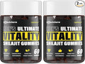 Shilajit Gummies for Men & Women | Shilajit for Men – Shilajit Pure Organic |High Potency|85+ Trace Minerals & Fulvic Acid| Shilajit Supplement | 120 Gummies