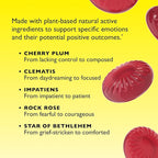 Bach RESCUE PASTILLES, Mixed Berry Flavor, Stress Relief Lozenges, Homeopathic, Flower Essences, 35 Count