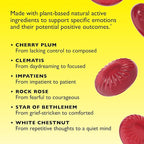 RESCUE Bach Sleep PASTILLES, Black Currant Flavor, No Melatonin Lozenges, Homeopathic, Flower Essences, 6 Pack