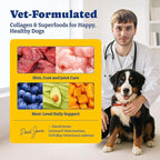 Collagen for Dogs - Collagen Soft Chews for Hip, Joint, Cartilage & Mobility Support, Skin & Coat Supplement for Dogs, with Types I, II & III Collagen and Superfood - 110 Count, Duck & Pear Flavor