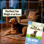 Pet Naturals Calming for Dogs, 30 Chews - Naturally Sourced Stress and Anxiety Calming Ingredients for Behavior Support - Vet Recommended