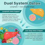 Liposomal Lymphatic Drainage Drops, Liver Cleanse Detox & Repair Liquid Supplement with Milk Thistle, Dandelion, Burdock Root & Echinacea - Lymph & Liver Detox, Antioxidant, Natural Flavor 2 Fl Oz