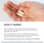 BodyHealth Digestive Enzymes Full Spectrum Digestive Support (180 caps), Betaine, Pepsin, Pancreatin BPP Loaded with Enzymes and Probiotics, Relief for Stomach Bloating, Heartburn, Gas, Constipation