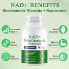 A r b c r n 240 Capsules Supplement,Nicotinamide Riboside Resveratrol 910mg for Men and Women, NR Supplement for Energy Anti-Aging Focus