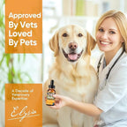 Yeast Infection Treatment for Dogs, 60 ml Dog Yeast Care Drops Ear Support Formula, Relief for Itchy Skin, Ear Infections, Liquid Drops for Dogs & Cats