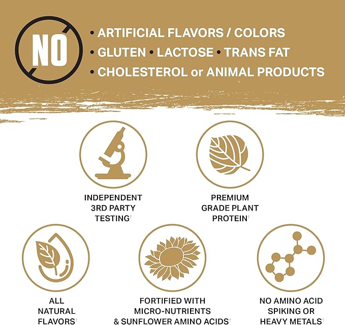 Ambrosia Planta - Plant-Based Protein Powder 20g | Dairy Free Vegan Protein Powder with BCAA Amino Acids | Keto-Friendly, No Added Sugar | 25 Servings | Candy Bar
