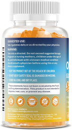 2 Pack Vegan Omega 3 Gummies 1000MG Algal Oil Omega 3 Supplement for Adults with Algae DHA 600mg & EPA 300mg Fish Oil Alternative - for Eye & Immune Health, Orange Flavor, 120 Count