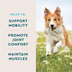 VetIQ Advanced Hip & Joint Chews For Dogs, 60 Count, Chicken Flavored Supplements Made with Glucosamine, Omega 3’s, Chondroitin, MSM & Green Lipped Mussel, Increases Mobility & Maintains Muscles