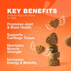 Glucosamine for Dogs - Joint Supplement for Dogs - Glucosamine Chondroitin - 180 Hip and Joint Care Mobility Chews - MSM, Turmeric - Advanced Mobility Support - Bone Health - Large and Small Breeds