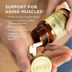 Solgar Muscle Maintenance Vitamin and Mineral Supplement, Support Muscle Mass with HMB and Vitamin D Supplement, Age-Defying Nutrition for Men and Women, Gluten Free, 20 Servings