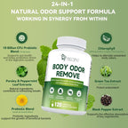 Chlorophyll Body Deodorizing Supplement 2 Pack, Chlorophyll Capsules with Parsley & Peppermint, Probiotic, Green Tea, Jerusalem Artichoke, Prebiotic, Supports Fresh Breath & Whole-Body Freshness