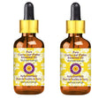 Deve Herbes Pure Curry Leaf (Patta) Essential Oil (Murraya koenigii) with Glass Dropper Steam Distilled (Pack of Two) 100ml X 2 (6.76 oz)