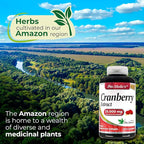 FITO MEDIC'S Lab Cranberry Supplement, 250 Softgels, Cranberry Extract Formula