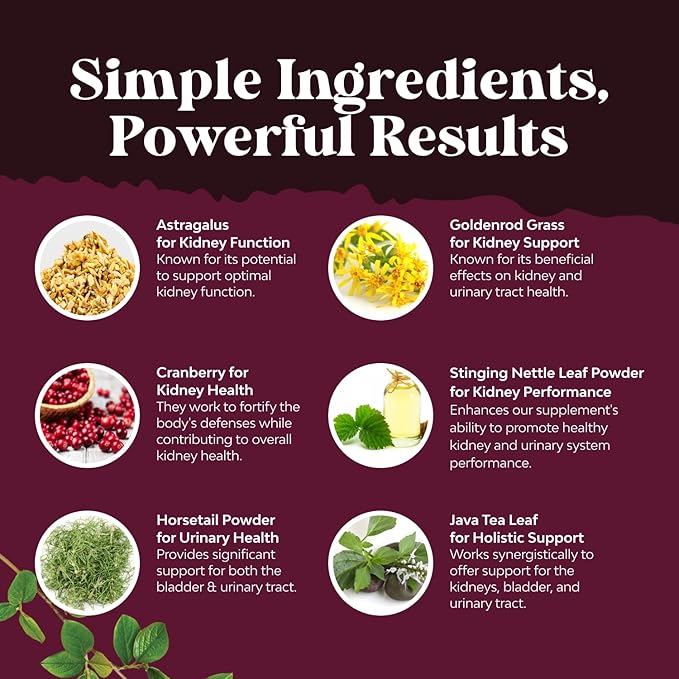 Advanced Kidney Support Supplement - Kidney Cleanse Detox & Repair Cranberry Extract Capsules with Uva Ursi, Stinging Nettle & Astragalus for Kidney Health - Urinary Tract Health - 60 Count