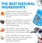 Dog Vitamins - 120 Multivitamins Chews w/Glucosamine Chondroitin, Probiotics Digestive Enzymes and Omegas - Supplement for Overall Health - Joint Support, Immune Health, Skin and Heart Health