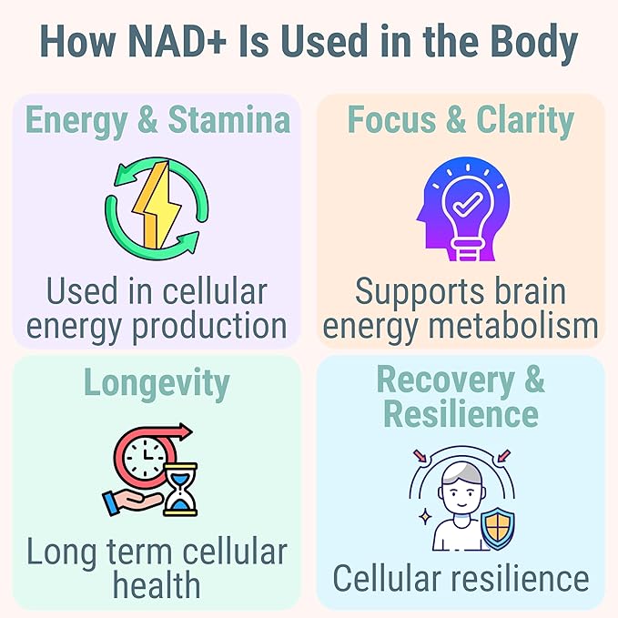 SHIZAM NMN NMNH NAD+ Gummies – NAD Supplement with Reduced Nicotinamide Mononucleotide, TMG (Trimethylglycine, Betaine) & Trans-Resveratrol, Methylated B-Complex