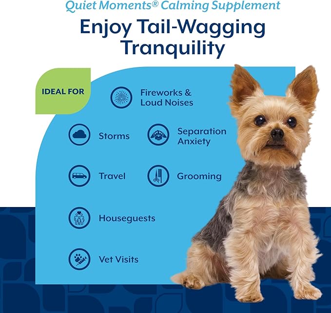 NaturVet Quiet Moments Calming Aid Melatonin Dog Supplement – Helps Reduce Stress in Dogs – for Pet Storm Anxiety, Motion Sickness, Grooming, Separation, Travel – 30 Ct. Tablets