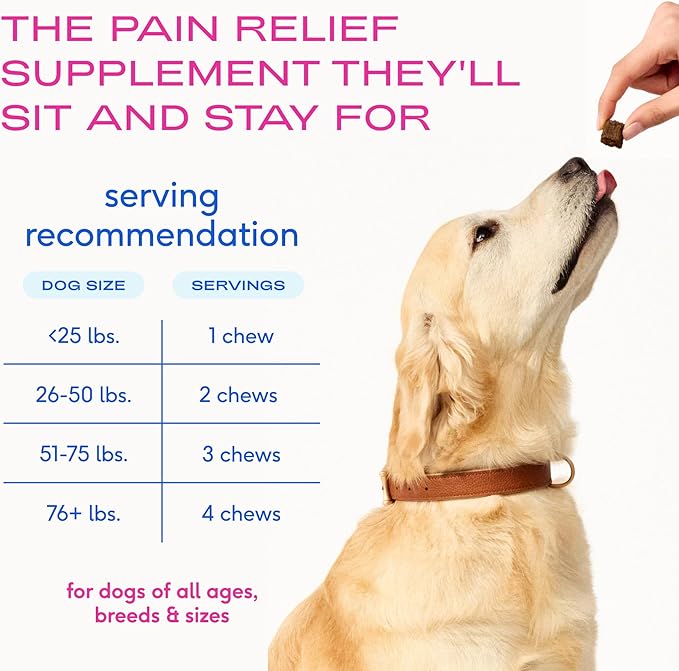 Native Pet Inflammatory Care - Pain Relief for Dogs - Green-Lipped Mussel, Turmeric & Collagen for Dogs - Hip and Joint Supplement Supports Healthy Inflammatory Response & Joint Comfort - 120 Chews