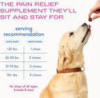 Native Pet Inflammatory Care - Pain Relief for Dogs - Green-Lipped Mussel, Turmeric & Collagen for Dogs - Hip and Joint Supplement Supports Healthy Inflammatory Response & Joint Comfort - 60 Chews