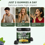Adndale Himalayan Natural Shilajit Gummies for Men & Women, Sugar-Free Mixed Berries Flavor - with Ashwagandha, Sea Moss, Lion’s Mane & Saffron + Zinc & Selenium - 90 Gummies (45 Servings)