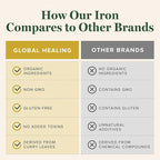 Global Healing Center Iron Supplement for Women and Men - Blood Builder Liquid Iron Vitamin with Curry Plant Extract - Natural Energy to Combat Fatigue, Brain Health & Oxygen Level Support (2 Oz)