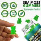 Sea Moss Gummies,with Elderberry Black Seed Oil,Ashwagandha&Ginger,Natural Irish Sea Moss for Immunity & Energy Supplement for Women,Men,Extra Strength,Great Tasting (1 Pack)