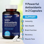 SOD Antioxidants Complex Healthy Aging Supplement - 400mg of Superoxide Dismutase - Alpha Lipoic Acid - Green Tea Extract - L-Arginine - Lysine - AKG - Vitamins A and E for Immune Support-120 Capsules