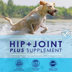 Advanced Glucosamine Powder for Dogs for Arthritis Pain Relief & Hip Dysplasia, Supports Joint Health & Reduces Inflammation with Glucosamine, Chondroitin, MSM & Coral Calcium, 6oz Powder