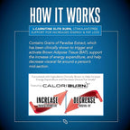SIRENLABS L-Carnitine Elite Burn Liquid Keto Fat Burner and Metabolism Activator - Fat Loss Support Keto Friendly Weight Loss Increase Energy - Stimulant Free - Strawberry Blast 3000mg (32 Servings)