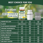 1 Pack Organic Mullein Gummies for Lungs, 2000MG Mullein Leaf Extract Supplement | Quercetin, Bromelain for Respiratory & Immune Support | Vegan, Sugr-Free, Mango Flavor | 60 Count