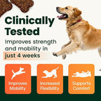 VetriScience Extra Strength Healthy Hip & Joint Chews, GlycoFlex Glucosamine and Green-Lipped Mussel Joint Support Supplement for Dogs, Promote Mobility and Soothe Joint Discomfort, Chicken, 120 Count