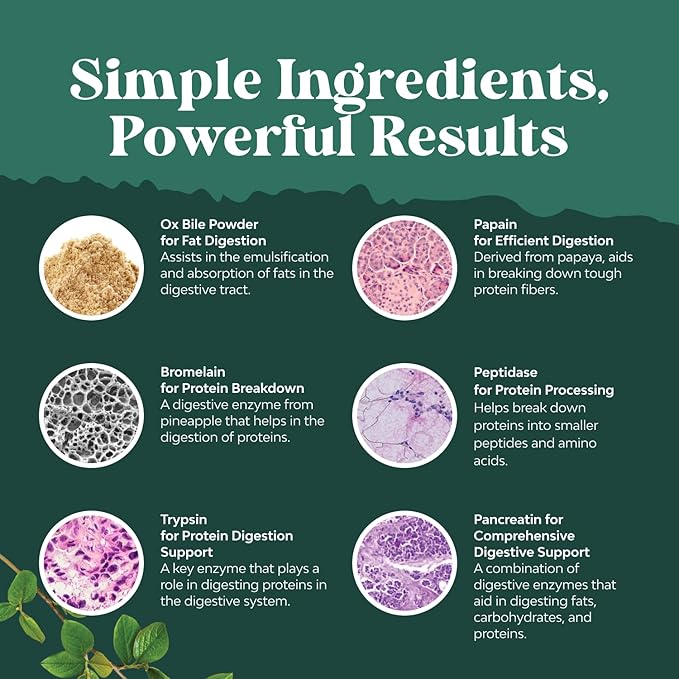 Digestive Enzymes with Ox Bile - Ox Bile Supplements for No Gallbladder with Trypsin, Papain & Bromelain Enzyme for Pancrease Cleanse & Detox - Pancreatin Digestion Enzymes for Women & Men - 90 Ct
