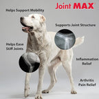 Triple Strength HA Granules for Dogs, Glucosamine, Chondroitin, Creatine, MSM and Antioxidants - Hip and Joint Support Supplement, 120 Doses
