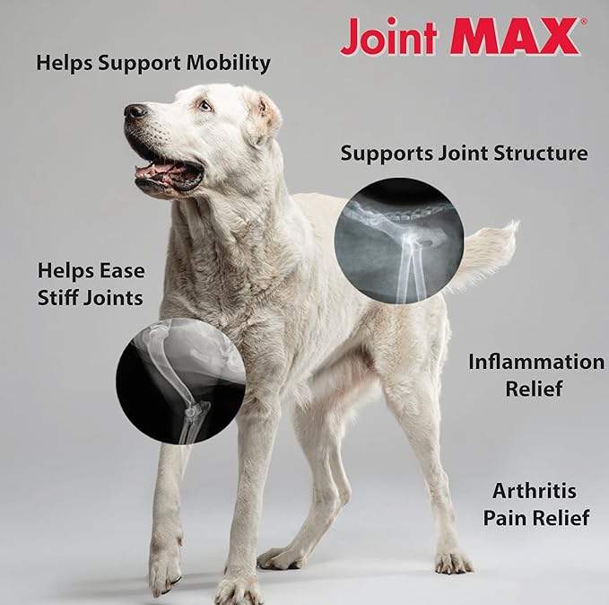 Triple Strength HA Granules for Dogs, Glucosamine, Chondroitin, Creatine, MSM and Antioxidants - Hip and Joint Support Supplement, 120 Doses