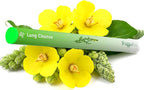 Herbal Diffuser Pen, Detox Diffuser with Mullein, Thyme & Mint for Better Breathing, All Natural Swap - Up to 600 Uses (Varies by Usage), 6 Diffusers, 2 Packs