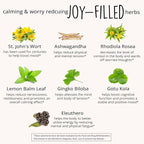 Joy-Filled Mood Support Supplement - 7 Herb Complex + St. Johns Wort (180 Ct) | Rhodiola Rosea, Eleuthero, Ashwagandha | Stress Relief – Helps Calm The Mind & Body | 100% Plant-Based Happy Pills
