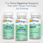 SOLARAY DAO Enzyme - Digestive Enzyme That Breaks Down Histamine - 60,000 HDU - Digestive Enzymes - Vegan, Gluten Free, Lab Verified - 30 Servings, 30 VegCaps
