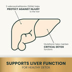 VetriScience Same Liver Health Tablets for Cats & Small Dogs – 90 mg S-Adenosyl Methionine Liver Support Supplement, Methionine Health and Detox Supplement, Glutathione Antioxidant, Tablets, 30 Cnt