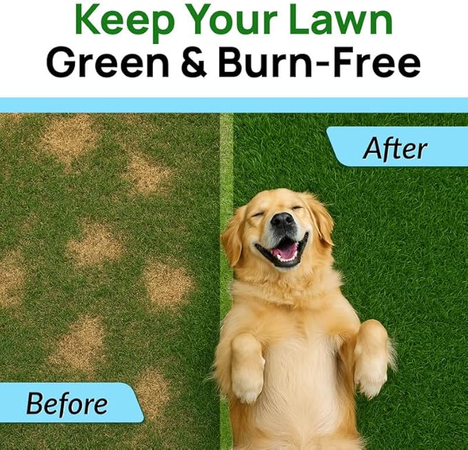 PAWFECTCHEW Dog Pee Grass Chews - Grass Treatment for Pet Urine - Neutralizer for Green Grass Burn Urine Spots - Green Lawn Chews for Dogs with Probiotics - Made in USA (120Ct)