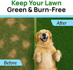 PAWFECTCHEW Green Grass Dog Chews with Probiotics – Lawn Burn Support – Dog Urine Neutralizer for Grass – Pee Spot Control – Gut & Urinary Health – 240Ct