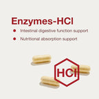 PROTOCOL FOR LIFE BALANCE Enzymes-HCl - Digestive Enzymes with Bromelain - Full Spectrum of Proteases - Digestion Supplement - Soy & Dairy Free - 120 Capsules