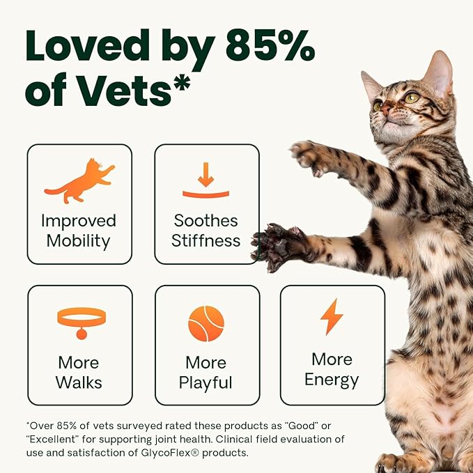VetriScience Ultimate Strength Healthy Hip & Joint Powder, GlycoFlex Glucosamine, Chondroitin and Green Lipped Mussels Joint Supplement for Cats, Cheese & Chicken, 60 Scoops