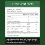 Organic Mushroom Sea Moss Gummies – Lion’s Mane, Reishi, Chaga, Cordyceps, Coriolus & Irish Moss – Cognitive & Immune Support – Vegan, Gelatin-Free, Pectin-Based – Watermelon – 90 Ct