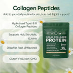 Halal Collagen Protein Powder, Grass-Fed Collagen Peptides Powder, Type I&III, 100% Hydrolyzed for Hair, Skin, Nails, Gut, Bone & Joint Health for Women and Men, Sugar Free, Unflavoured (1)